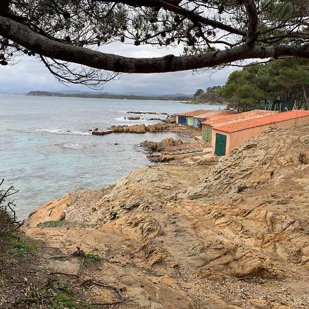 T2 Climatise A L'Ile D'Or Avec Piscine Pres De La Plage La Londe-les-Maures Dış mekan fotoğraf