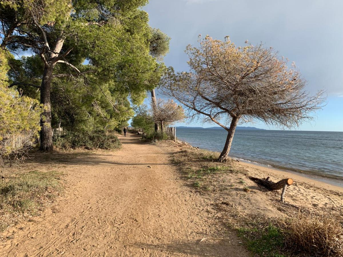 T2 Climatise A L'Ile D'Or Avec Piscine Pres De La Plage La Londe-les-Maures Dış mekan fotoğraf